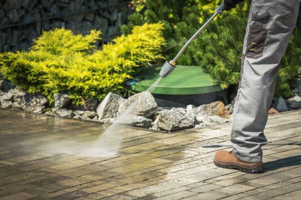 Best Driveway Pressure Washing  in South Williamsport, PA